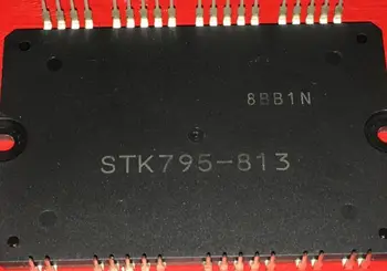 STK795-813 1ШТ.