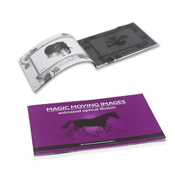 Волшебные движущиеся изображения: анимированные оптические иллюзии, лучший подарок для детей / Детская магия, фокусы крупным планом, Волшебная книга, забавные картинки