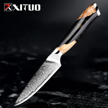Нож шеф-повара для очистки овощей 3,5-дюймовый кухонный нож для приготовления Дамаска VG10 Super Steel 67Layer, Острый как бритва фруктовый нож, отлично удерживающий края