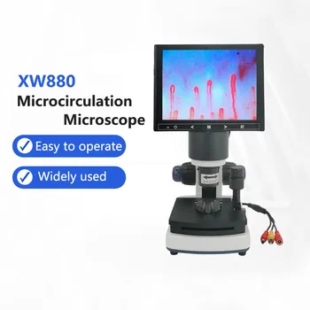 Профессиональная капиллярная микроциркуляция на ногтях, USB HD Цифровой микроскоп, микроциркуляция крови, ЖК-дисплей